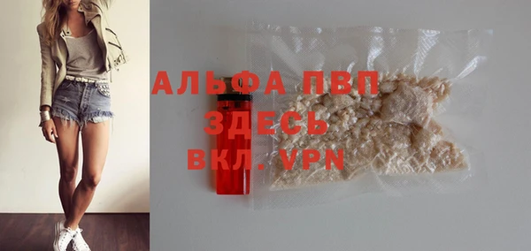 прущий лед Абаза