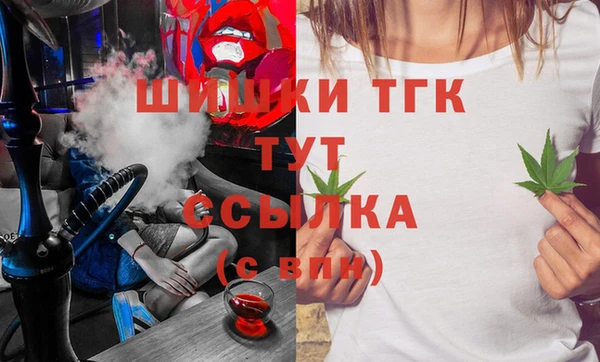 тгк Новозыбков