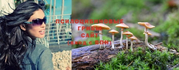 тгк Новозыбков
