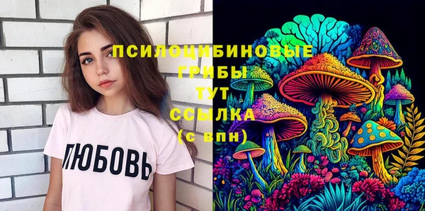 прущий лед Абаза