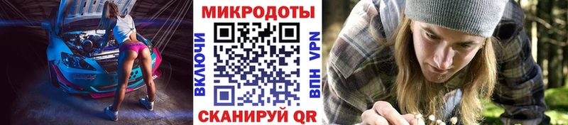 где продают   Суоярви  блэк спрут ССЫЛКА  Псилоцибиновые грибы Psilocybine cubensis 